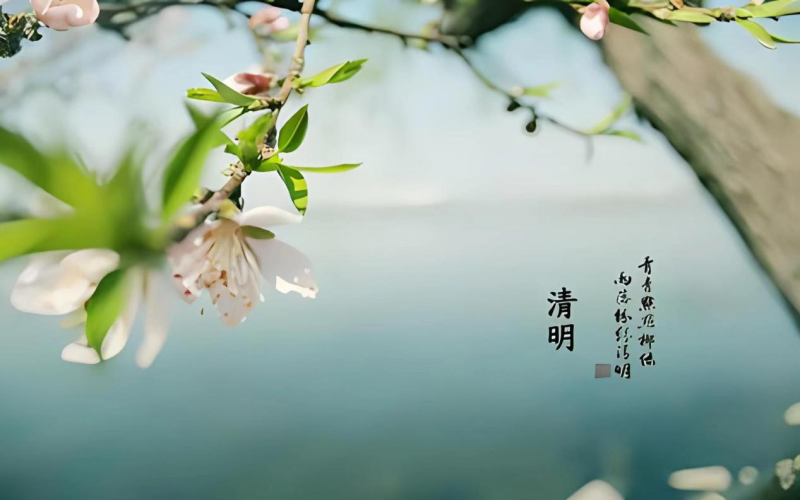 清明：梨花風(fēng)起正清明