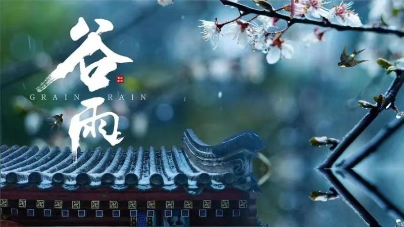 谷雨---雨生百谷