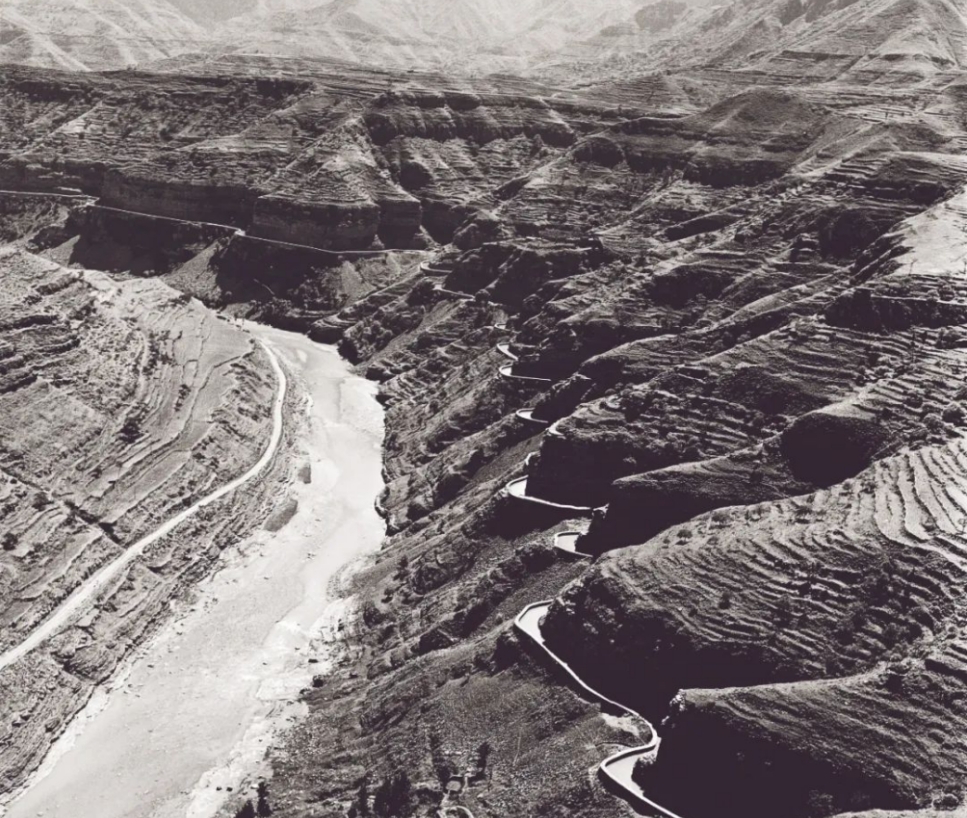 微信截圖_20240320151042